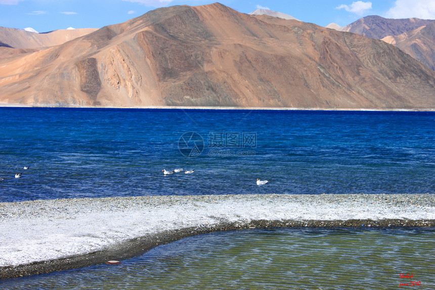 庞冈湖Ladhak湖泊海拔图片