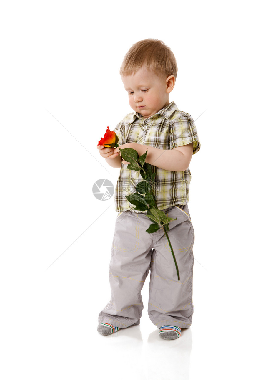 男孩站立玫瑰活动幸福个性白色闲暇男生追求沉思思维图片