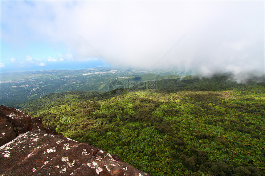 波多黎各雨林植被环境荒野高度国家热带森林里科栖息地天堂图片