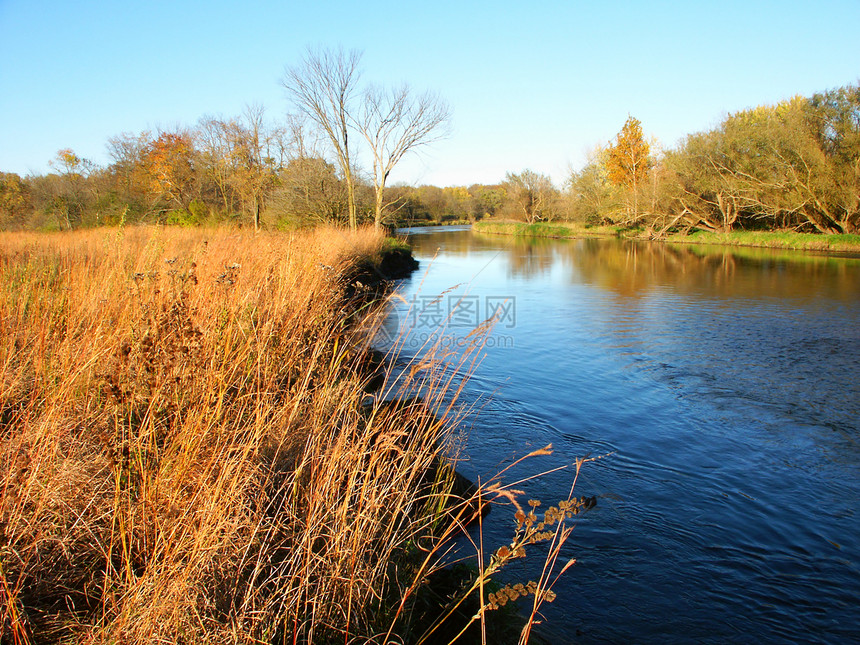 Kishwaukee河伊利诺伊州荒野风景溪流支撑波纹场景树木公园图片