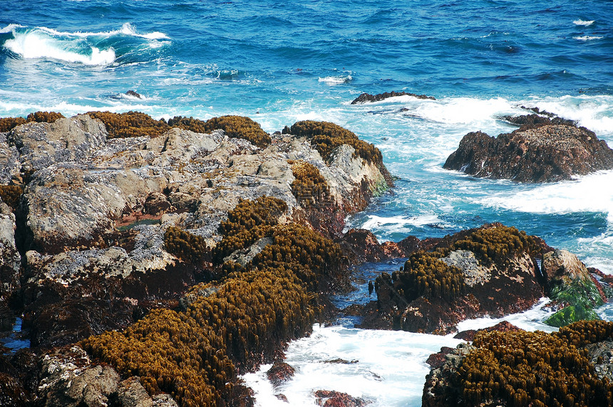 俄勒冈州海岸波浪支撑冲浪海岸线岩石海洋蓝色海滩图片