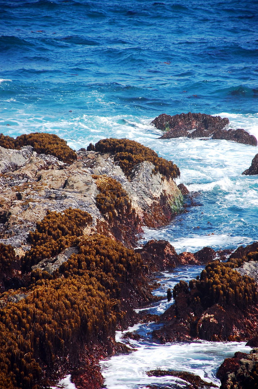 俄勒冈州海岸线冲浪岩石海滩波浪蓝色海洋支撑图片