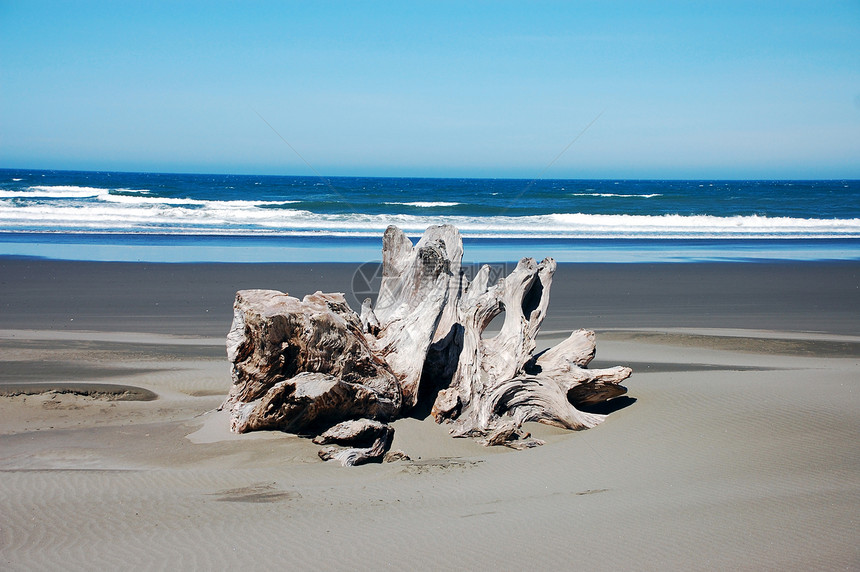 沙滩上漂流木支撑海滩海洋地平线浮木海岸线冲浪沿海波浪蓝色图片