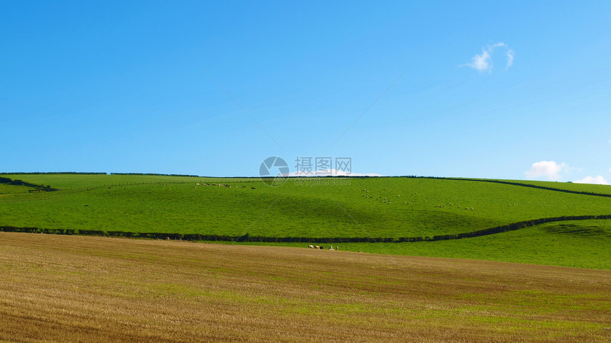 红心山爬坡王国天际全景草地天空绿色蓝色丘陵图片