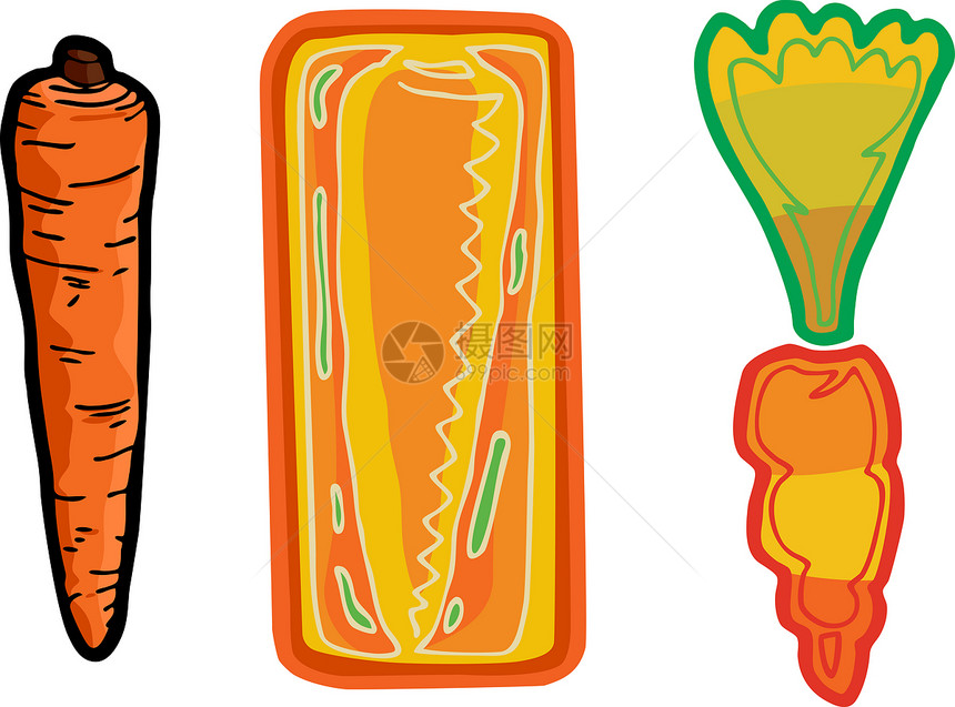 三只胡萝卜风格绿色蔬菜漫画食物橙子卡通片艺术品农业叶子图片