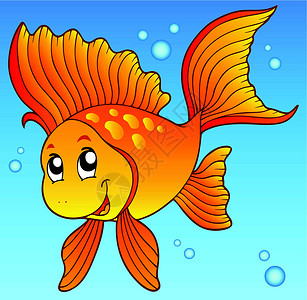 水中的小金鱼背景图片
