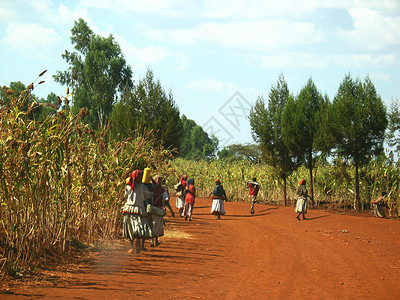 人们从当地市场回来 回到本地市场村庄生活泥路背景图片