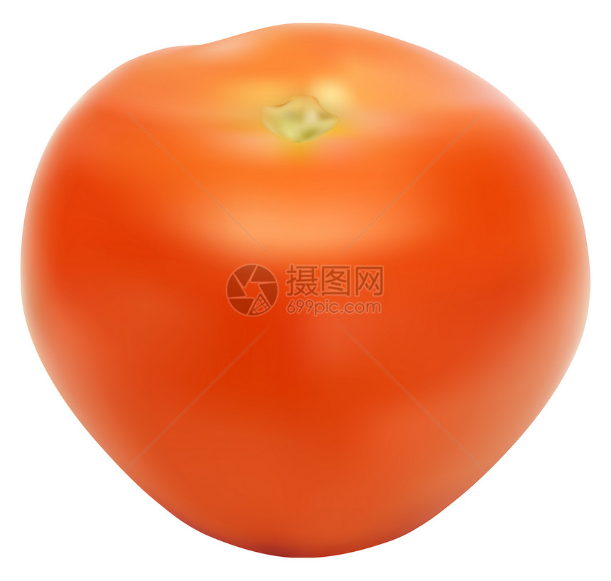 红番茄和新鲜番茄的说明宏观红色植物绿色食物白色叶子蔬菜图片