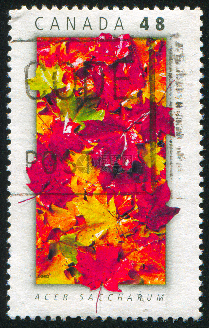 邮票花园地面环境海豹植物集邮邮戳木头森林场地图片