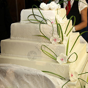 乳白色蛋糕大型结婚蛋糕或生日蛋糕     英语风格背景