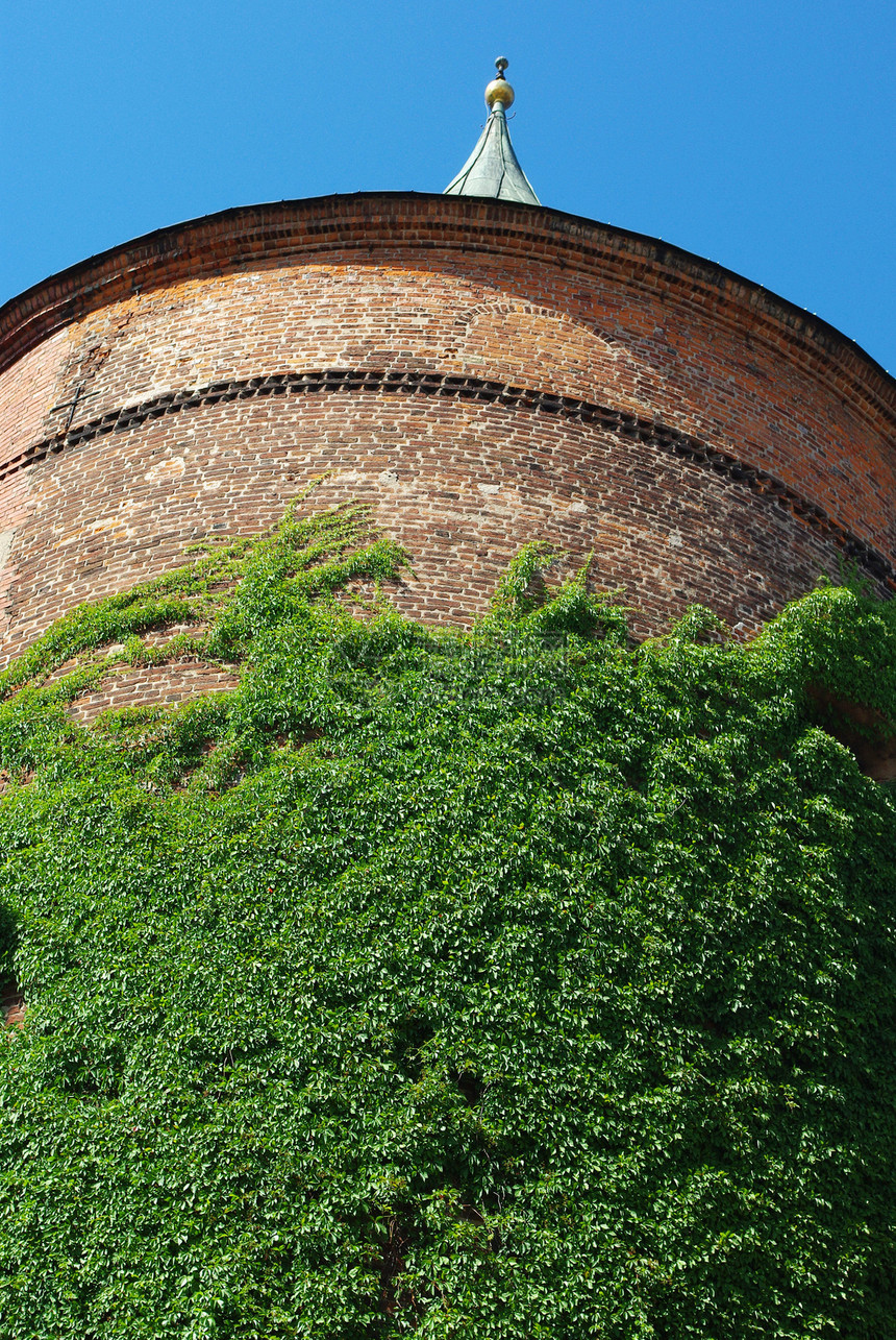 Ivy覆盖拉脱维亚里加历史古塔图片