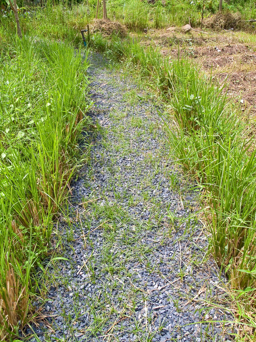 路径途径碎石稻田农田生长花园路线人行道岩石农场石头图片