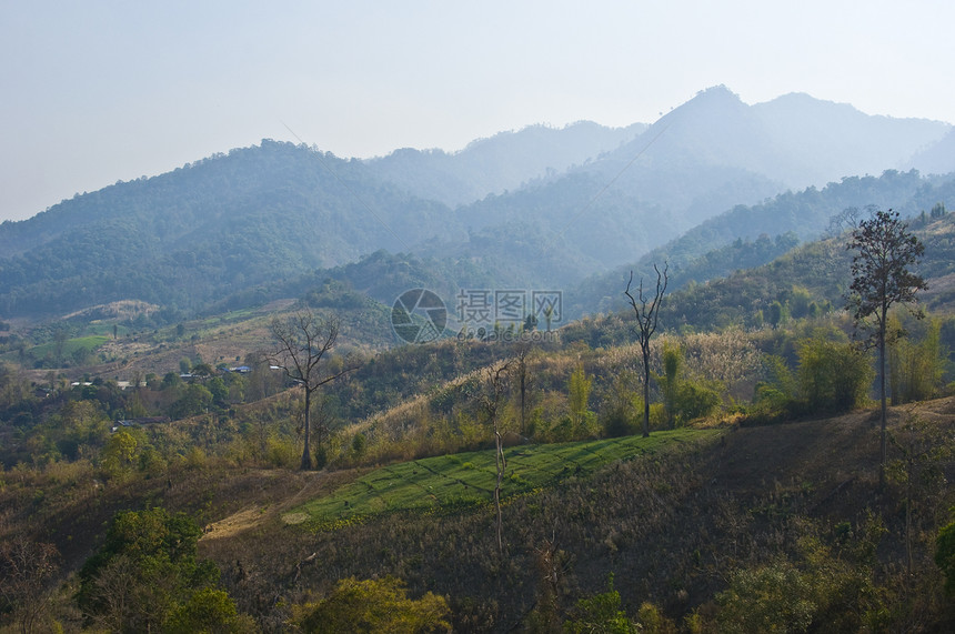 泰国山晴天绿色全景风景爬坡森林荒野环境旅行顶峰图片