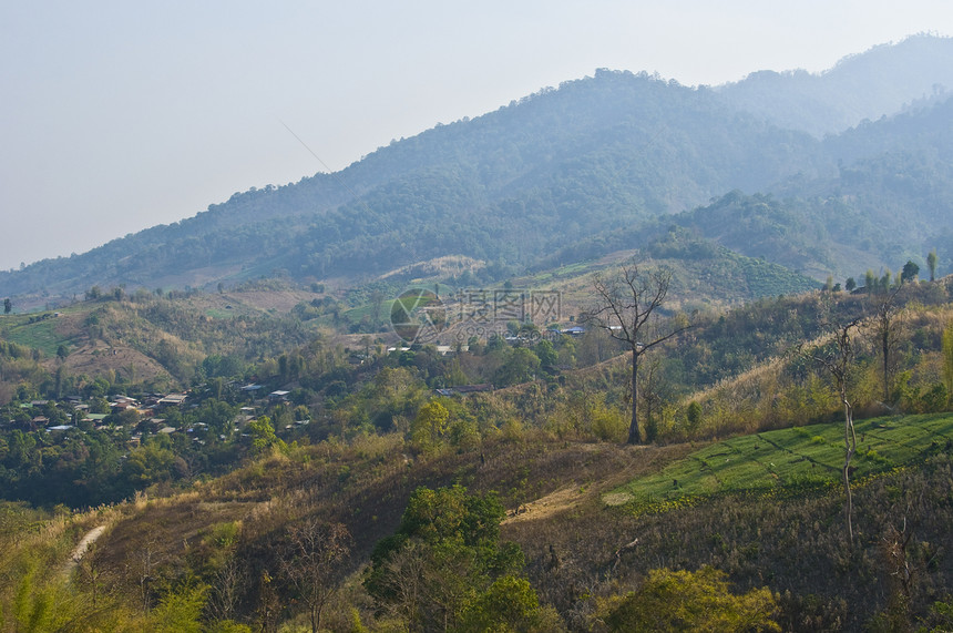 泰国山旅行森林国家绿色荒野风景顶峰全景环境爬坡图片