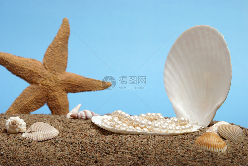 大洋珍珠牡蛎细绳宝石奢华场景贝壳珍珠海洋热带蓝色图片