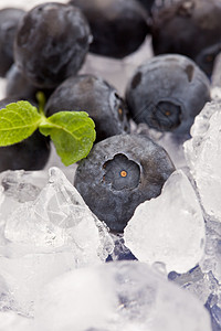 冰上蓝莓浆果薄荷叶水果高清图片