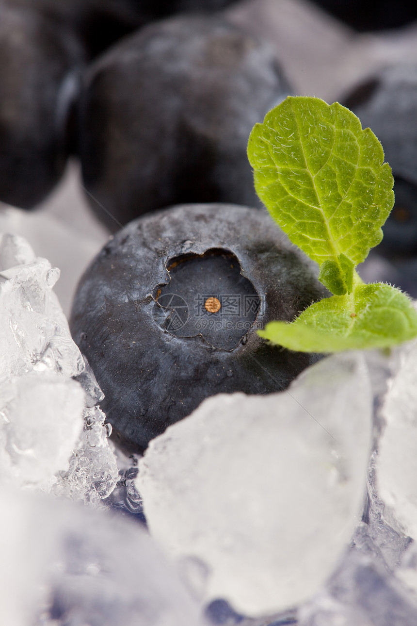 冰上蓝莓浆果水果薄荷叶图片