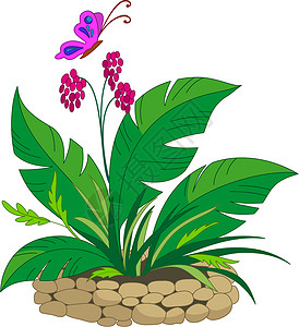 与热带植物同床草地石方蝴蝶异国苍蝇花坛飞行卡通片生长环境插画