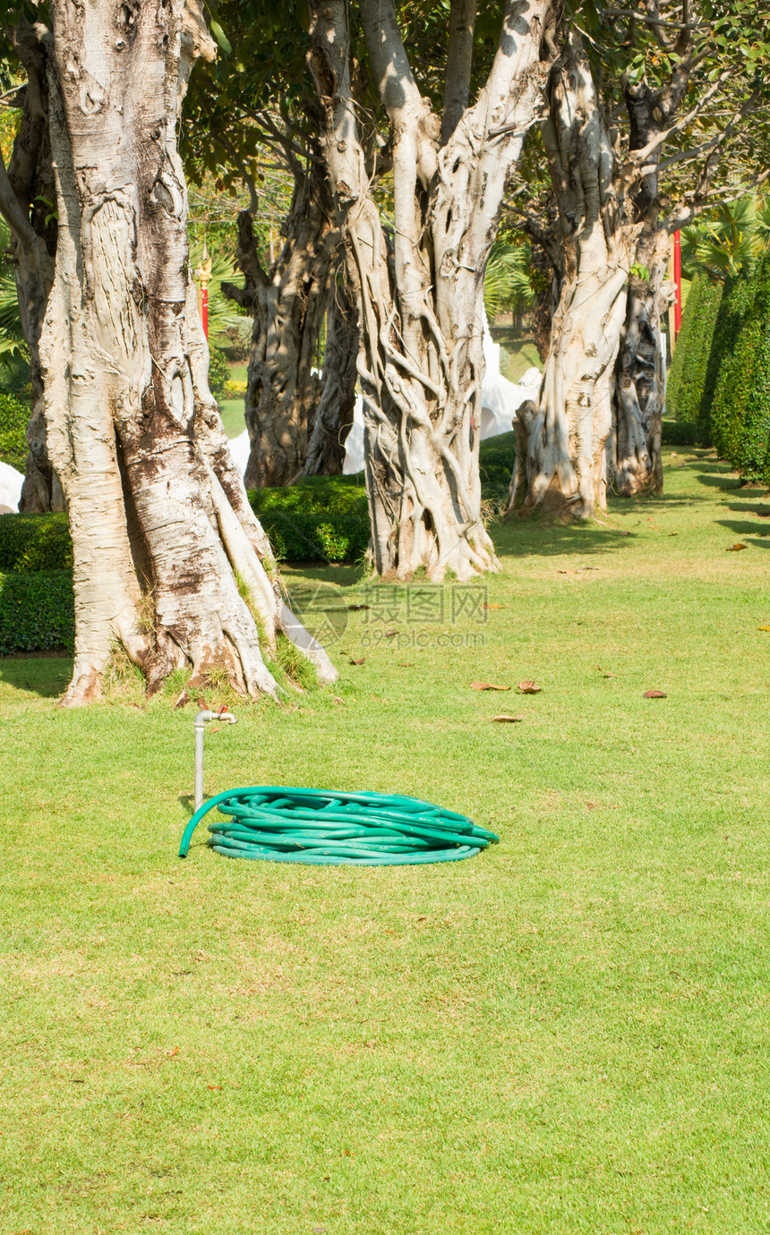 花园草坪上的自来水管折叠草地软管职场家庭金属库存绿色园艺塑料图片