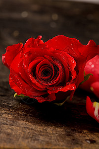 红玫瑰花瓣桌子宏观植物群摄影热情红色背景图片