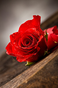 红玫瑰花瓣植物群摄影热情桌子宏观红色背景图片