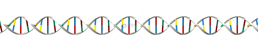 DNA制造医疗染色体科学化学遗传药品技术生活生物学螺旋图片