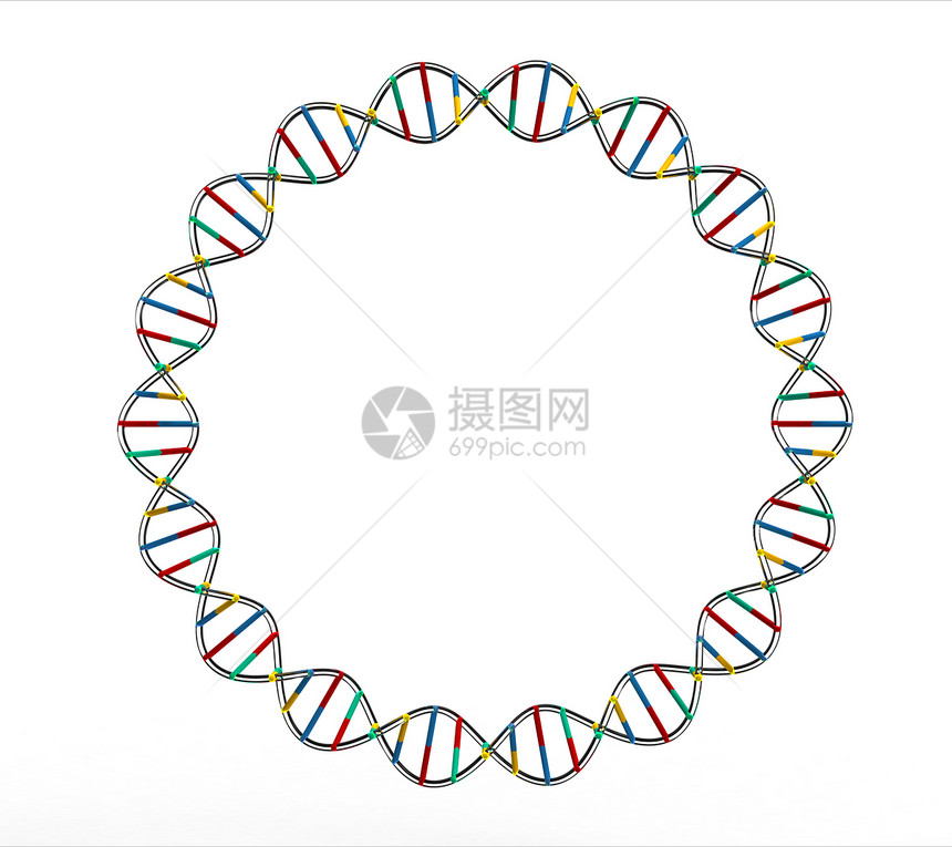 DNA圆图片