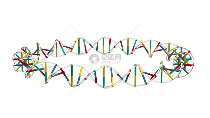 圆圈中的DNA图片