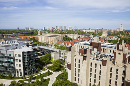 芝加哥大学校园学校背景