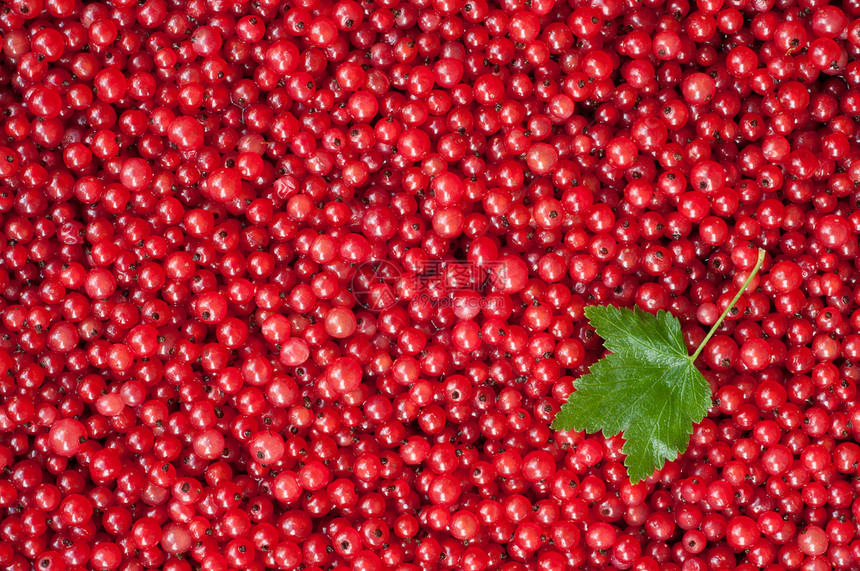 红色弯曲的泥土果园收获维生素农业花园叶子果汁宏观摄影食物图片
