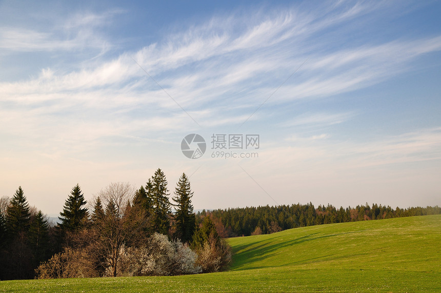 山区的春天田图片