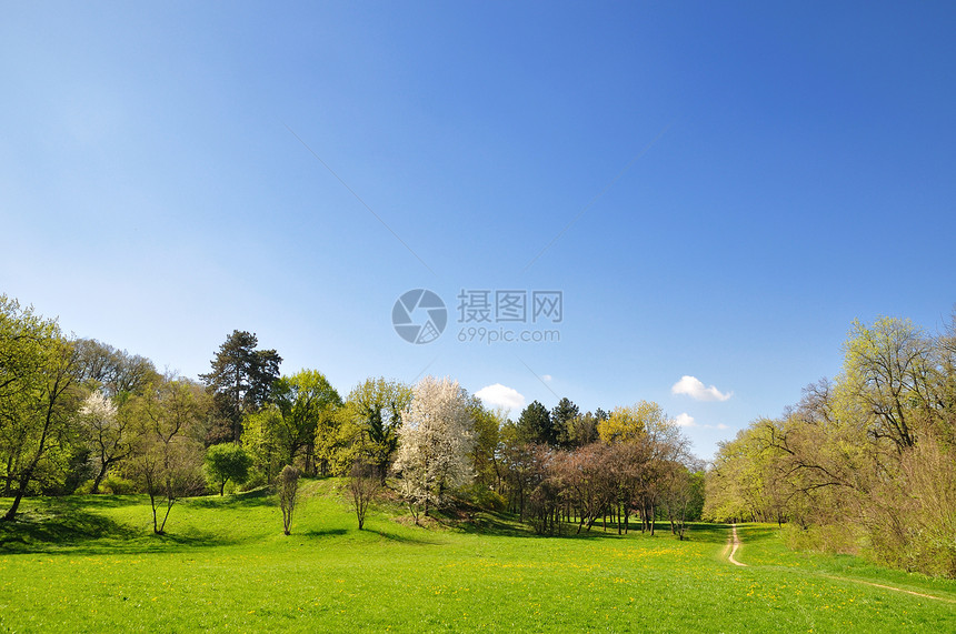 春天清晨木头天气季节日光远足土地草地阳光天空农村图片