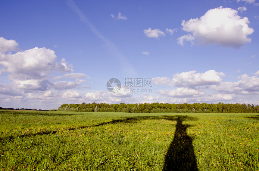 有树影的夏季风景图片