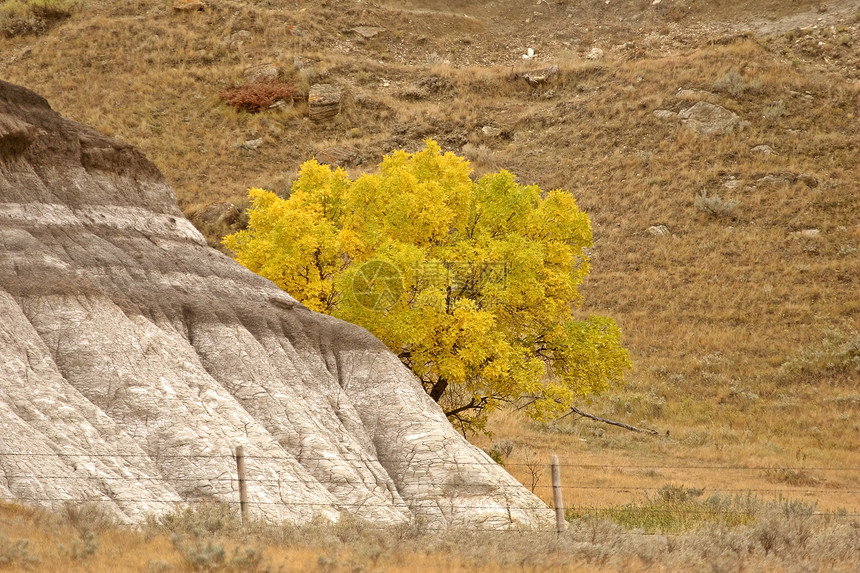 秋天留下的岩石排在地后面风景树叶山谷栅栏金属编队帖子泥泞乡村农村图片