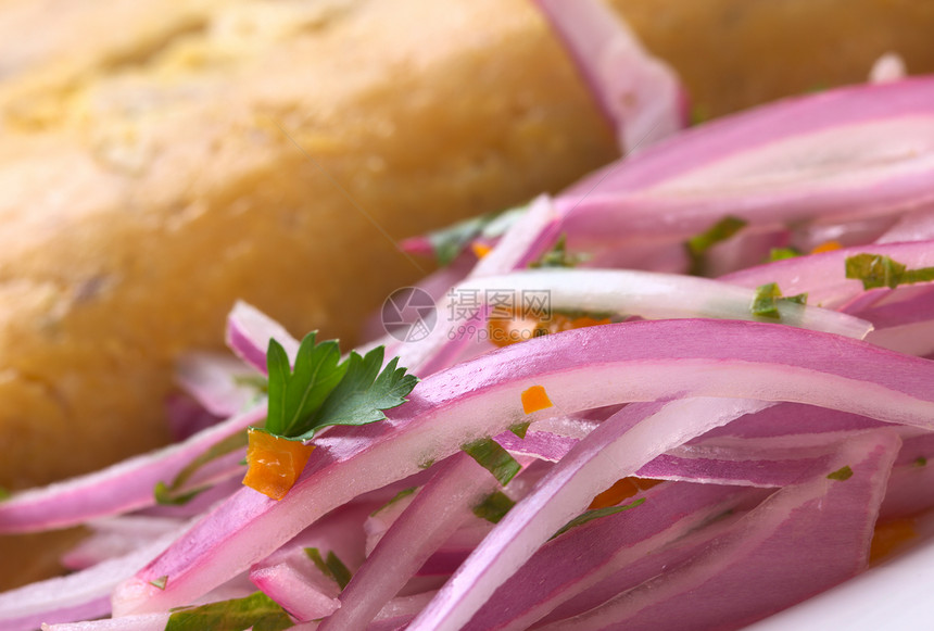 秘鲁草本植物营养洋葱食物照片水平胡椒香菜图片