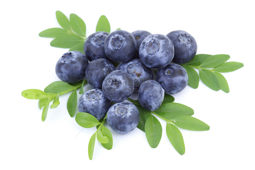 白色上隔离的新鲜蓝莓食物饮食水果叶子浆果蓝色绿色图片
