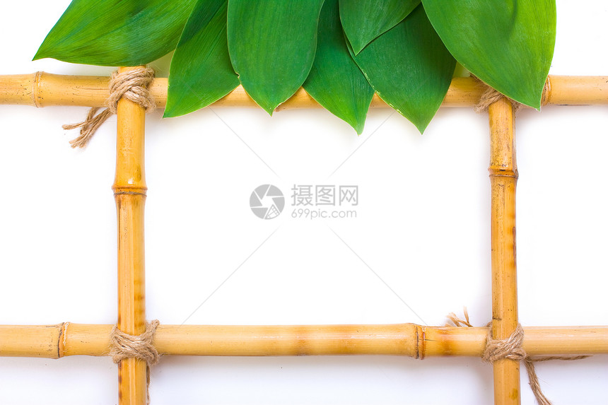 竹子图片的框架铭牌广告植物牌匾热带相片招牌树叶白色盘子图片