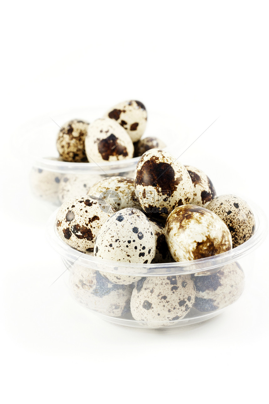 Quail 鸡蛋饮食食物产品塑料团体蛋壳白色棕色图片
