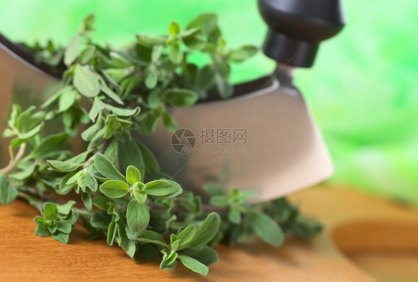 马约拉姆与梅扎鲁纳草本植物照片枝条烹饪菜刀叶子刀刃食物水平绿色图片