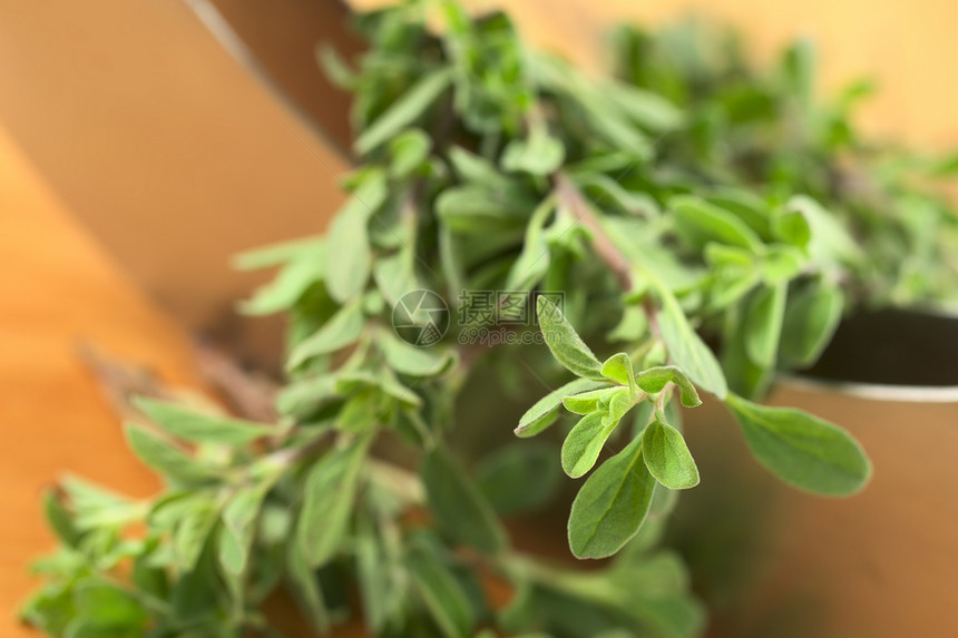 马约拉姆与梅扎鲁纳刀刃叶子草本植物食物植物照片绿色烹饪水平枝条图片