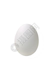 蛋食物照片对象白色鸡蛋背景图片