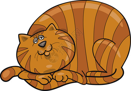 肥红猫幽默红虎斑高清图片