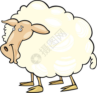 羊毛卡通卡通羊羊小屋漫画羊肉哺乳动物艺术母羊动物国家牧场草地背景