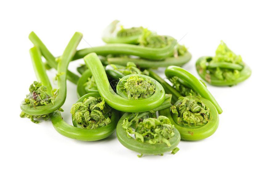 中头虫卷曲食物螺旋营养蕨类青菜食品荒野白色蔬菜图片