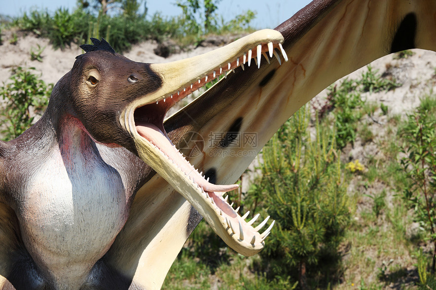 恐龙石化猎人时间蜥蜴捕食者玩具化石环境怪物侏罗纪图片