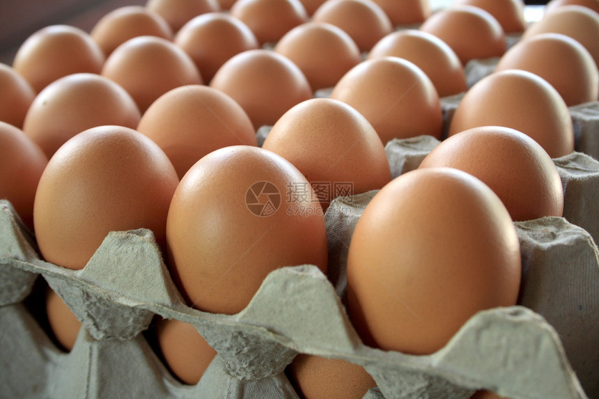 鸡蛋托盘家禽食物午餐盒子早餐邮票晚餐安全杂货风险图片
