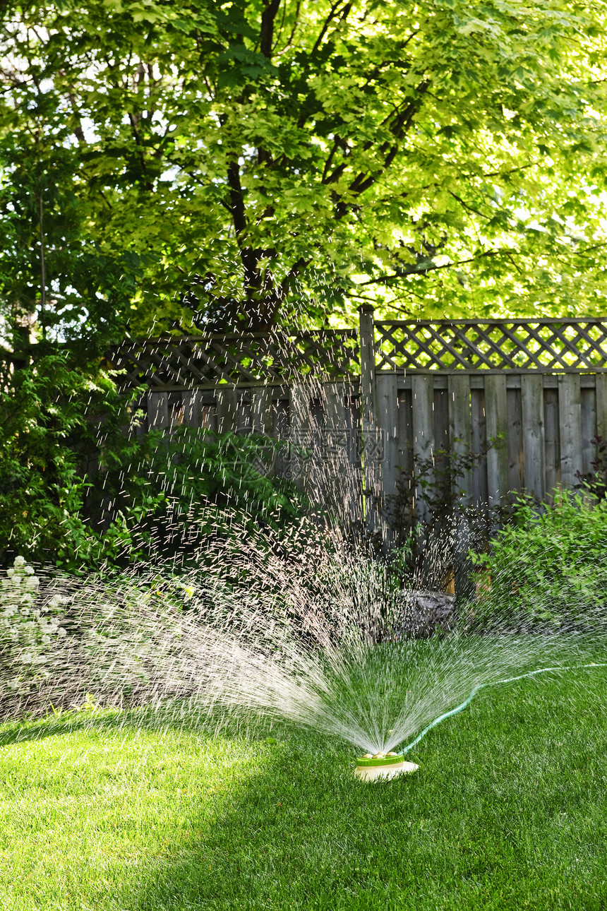 草草喷洒灭草机趋向草地生长院子橡皮草皮关爱花园洒水器喷涂图片