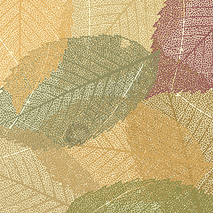 旱藕粉旱秋叶模板 EPS 8森林叶子植物骨骼橙子荒野插图剪影季节公园插画