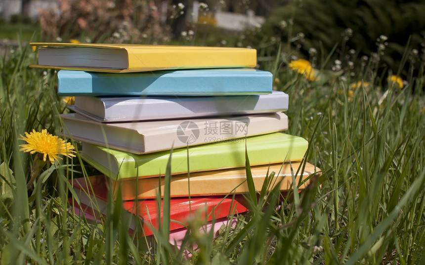 堆在草地上的书文学脊柱红色知识白色收藏精装橙子图书团体图片