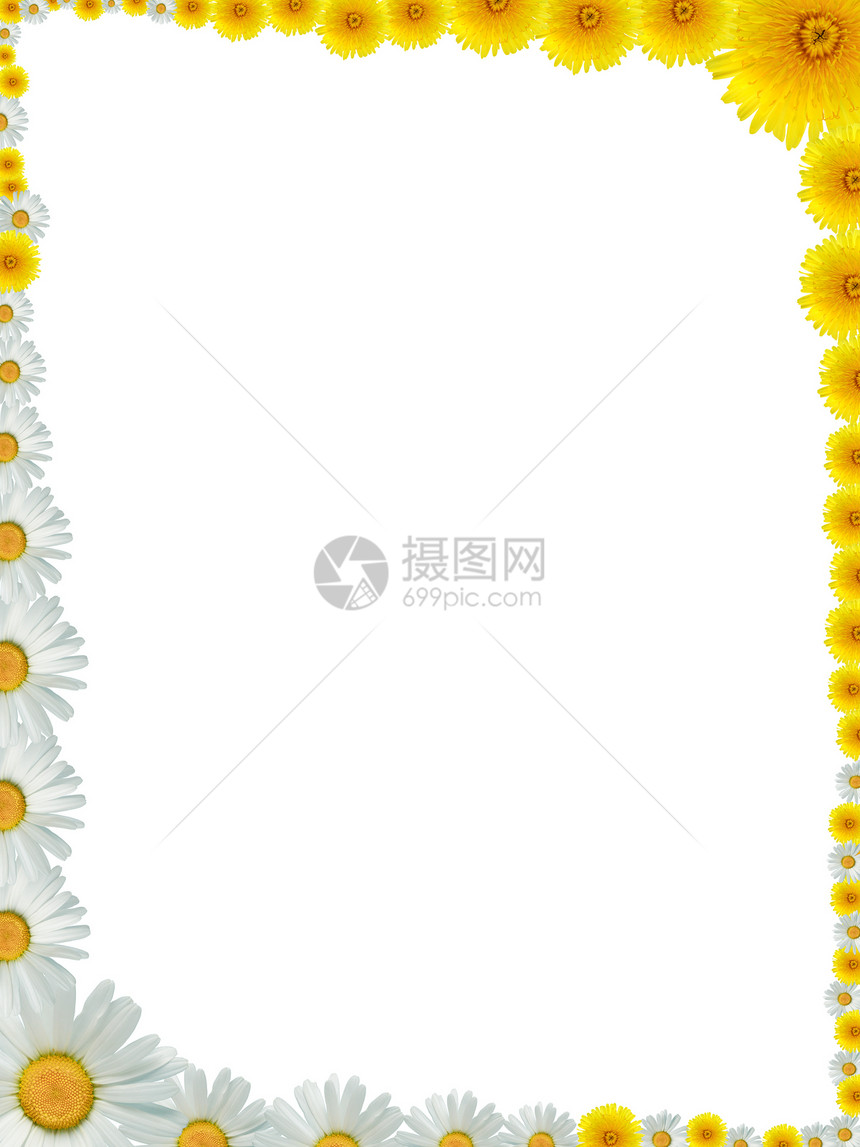 鲜花相框花头雏菊元素装饰品艺术设计花瓣边界框架图片